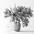 Dried Pampas Grass in Black Woven Vase for Modern Home Decoration