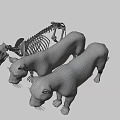 Realistic 3D Lion Skeleton And Two Standing Lion Models 3d model