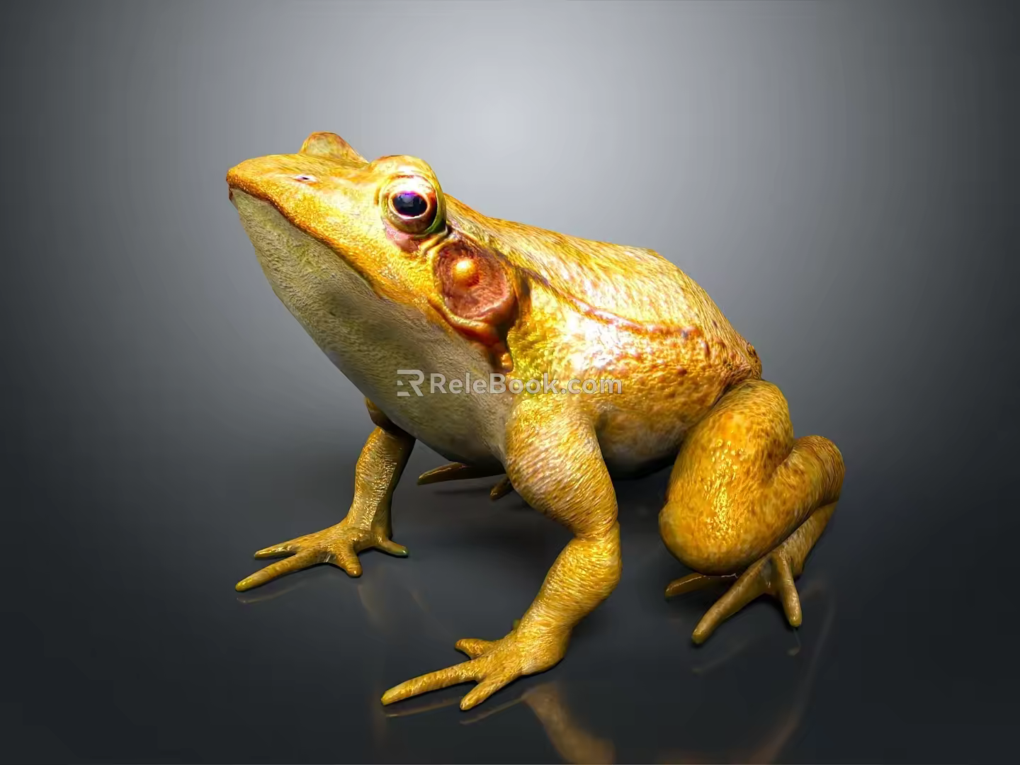 Frog Poison Frog Game Frog Reptile Cold Blooded Animal Reptile 3d model