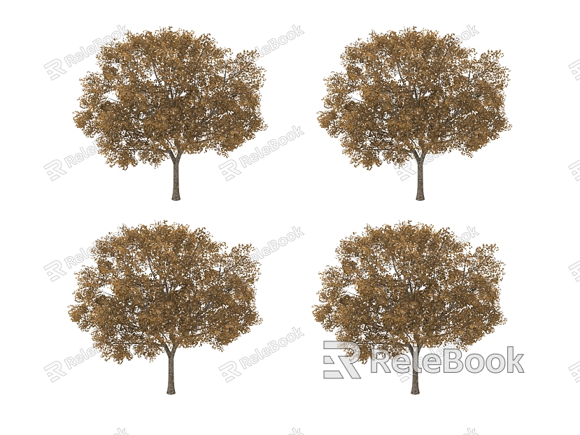 plant tree model