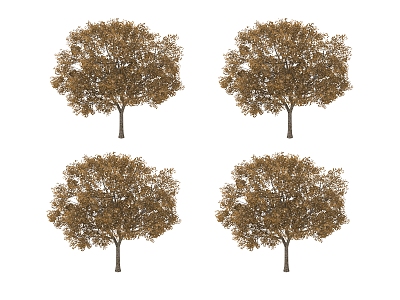 plant tree model