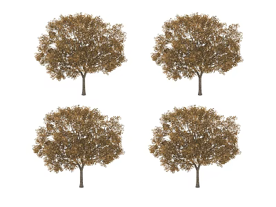 plant tree 3d model