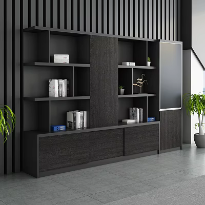 Modern File Cabinet with Multiple Shelves Drawers Black Wooden Texture and Nearby Plants TV 3d model