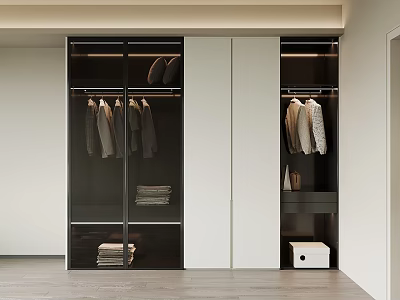 Modern Wardrobe Design With Glass Doors White And Dark Panels Hanging And Folded Clothes 3d model