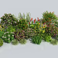 Diverse Varieties Of Flowering Shrubs With Pink Red Yellow Blooms And Lush Green Foliage
