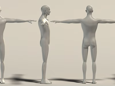 Human Mannequins Showing Front Side And Back Views With Extended Arms 3d model