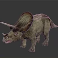 Detailed Triceratops Dinosaur 3D Model With Large Frill Sharp Horns And Realistic Skin
