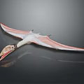 Pterosaur Skeleton Model With Spread Wings Long Beak On Dark Background Showing Reflection 3d model