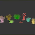 Golden Grass Plants with Various Shapes and Heights on Dark Background with Ground Reflection