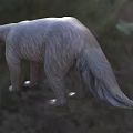 Grayish Brown Reptile With Long Tail And Strong Limbs In Natural Grassland Habitat
