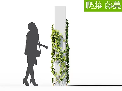 Climbing Vines With Green Leaves Growing On White Column Next To Woman Silhouette 3d model