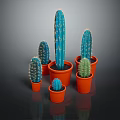 Multiple Blue Green Cacti in Orange Pots Various Sizes Decorative Household Plants on Dark Background