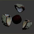 Split Spiky Chestnut Shell Revealing Red Kernel On Dark Background