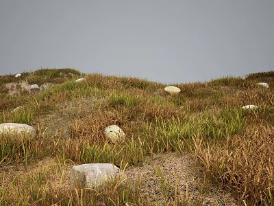 Lush Meadow With Green And Yellow Grass And Scattered Stones Under Grey Sky 3d model