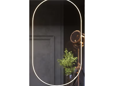 Oval Gold Framed Mirror With Dark Wall Green Plant And Brass Floor Lamp Modern Interior 3d model