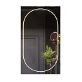 Oval Gold Framed Mirror With Dark Wall Green Plant And Brass Floor Lamp Modern Interior