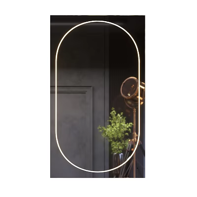 Oval Gold Framed Mirror With Dark Wall Green Plant And Brass Floor Lamp Modern Interior 3d model