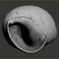 Shiny Silver Metallic Shell With Reflective Surface On Black Background