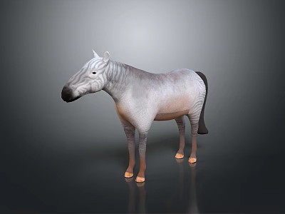 3D Rendered Zebra With Striped Body Standing On Dark Background With Reflection 3d model