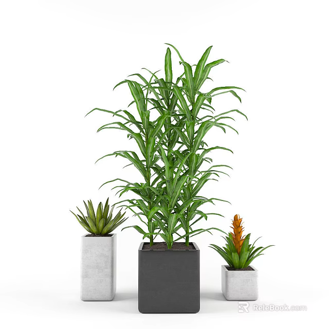 Potted Bonsai Plants With Green Leaves And Different Size Pots In Gray Black White 3d model 