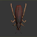 Vibrant Red Orange Beetle With Shiny Exoskeleton Long Antennae And Multiple Legs