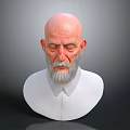 Elderly Man With Bald Head And Gray Beard In White Shirt Bust Portrait