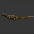 Reptile Lizard With Brown Body And Pink Tongue Sticking Out On Grey Background