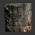 Natural Wooden Tree Stump Decorative Piece Featuring Bark Texture And Visible Growth Rings For Home Decor