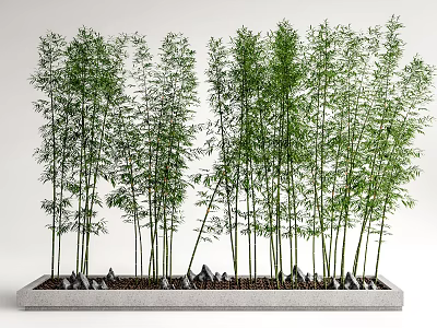 Tall Bamboo in Rectangular Stone Planter with Lush Green Leaves and Small Stones at Base 3d model