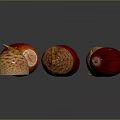 Red And Brown Acorns As Natural Food With Textured Surface On Black Background And Reflections