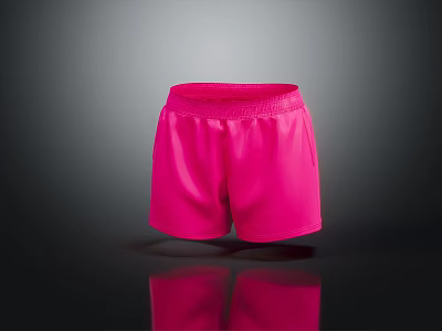 Modern Shorts Sports Shorts Casual Shorts 3d model