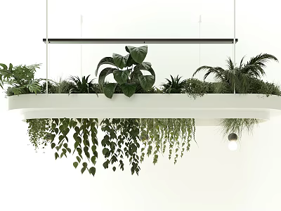 Modern Chandelier Design With Hanging Green Plants And White Background 3d model