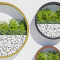 Decorative Circular Wall Decor with Green Plants and White Pebbles in Various Colored Frames 3d model