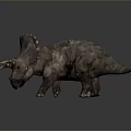 Realistic Triceratops Dinosaur 3D Rendering On Gray Background With Horns And Skin Texture
