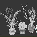Various Decorative Plants in Black Brown and Hexagonal Pots with Green Leaves and Red Flowers