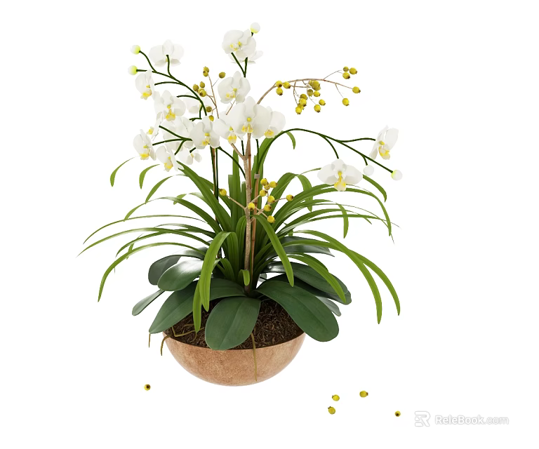 White Orchid Bonsai Potted Plant With Green Leaves And Yellow Buds In Brown Clay Pot 3d model 