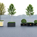Outdoor Garden Flower Pots In Black White With Trees Shrubs And Decorative Accents