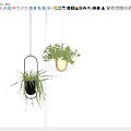 Hanging Green Potted Plants With Black And Gold Planters In Corridor With Blue Doors
