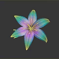Vibrant Blue Purple Gradient Lily Flower With Shiny Petals On Dark Background