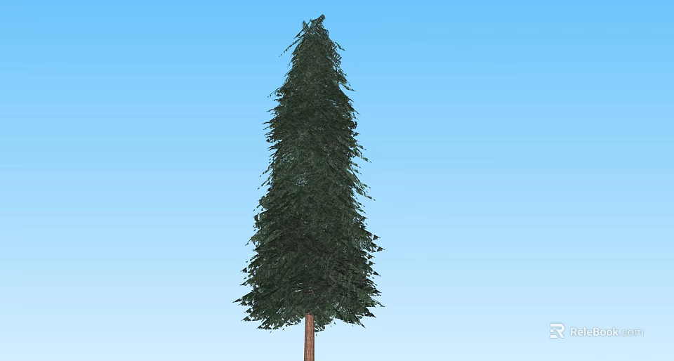 Tall Evergreen Arbor With Green Foliage And Brown Trunk Against Blue Sky 3d model 