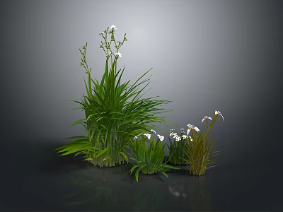 Green Plants with Lush Grass and Small White Flowers in Various Clusters 3d model