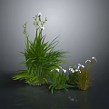 Green Plants with Lush Grass and Small White Flowers in Various Clusters