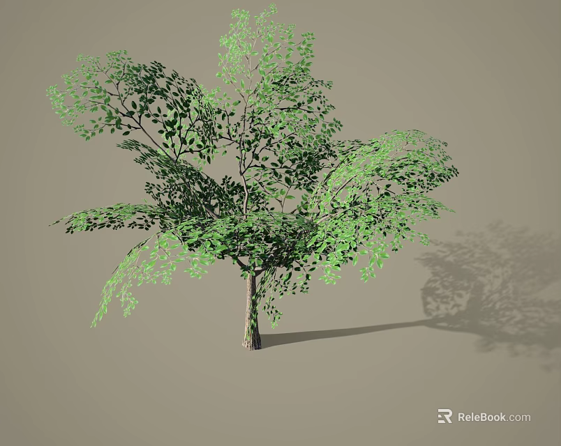 Lush Green Arbor Tree With Dense Foliage Branches And Shadow On Neutral Background 3d model 