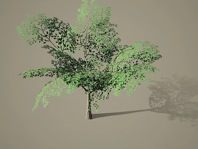 Lush Green Arbor Tree With Dense Foliage Branches And Shadow On Neutral Background 3d model