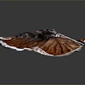 Brown Butterfly With White Edged Wings Displaying Shiny Texture On Dark Background