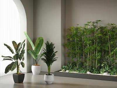 Modern Interior with Diverse Bonsai and Potted Plants Including Bamboo Palm and Big Leaf Species 3d model