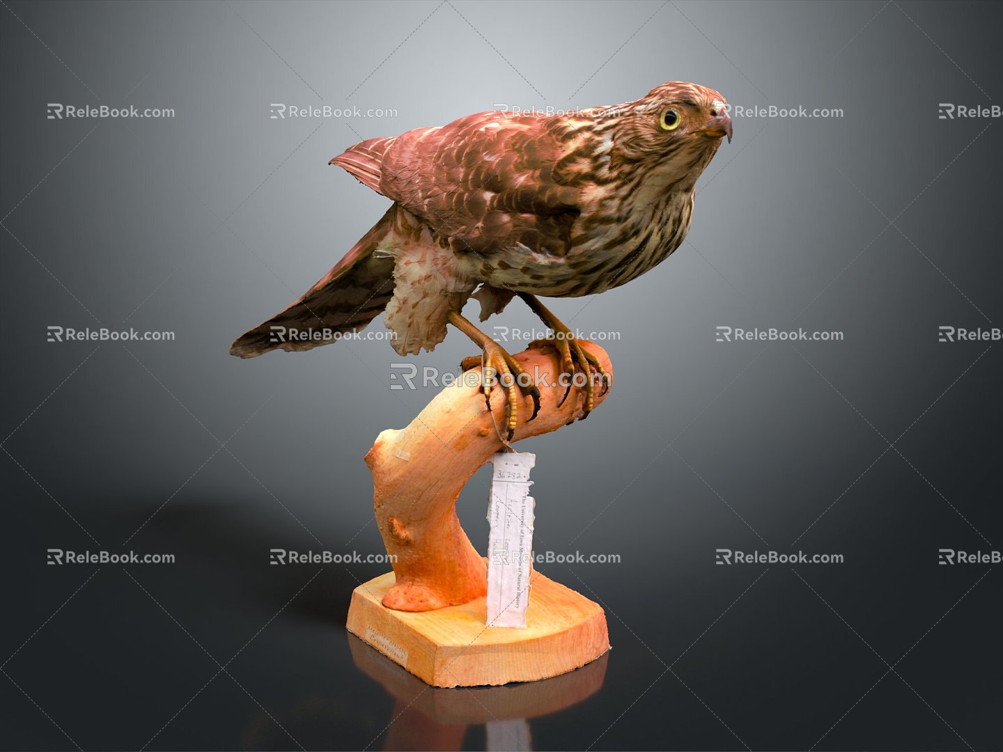 Modern Eagle Carving 3d model