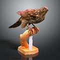 Modern Eagle Carving 3d model