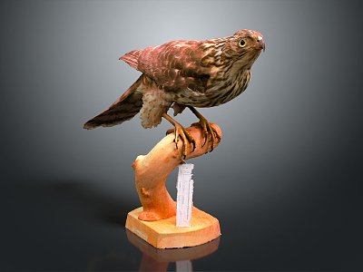 Modern Eagle Carving 3d model