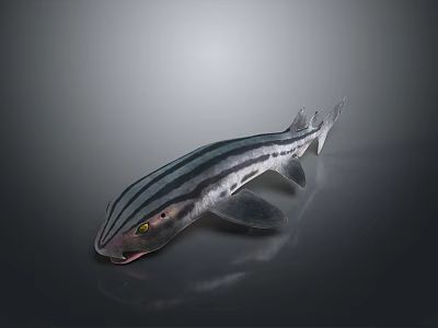 3D Rendered Striped Fish Model With Realistic Texture On Gray Background 3d model